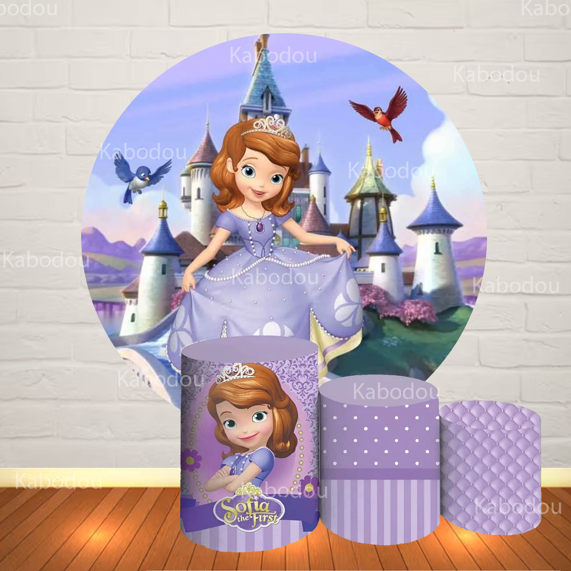 Sofia the First Round Backdrop - огляд і ціна Photography Aesthetic
