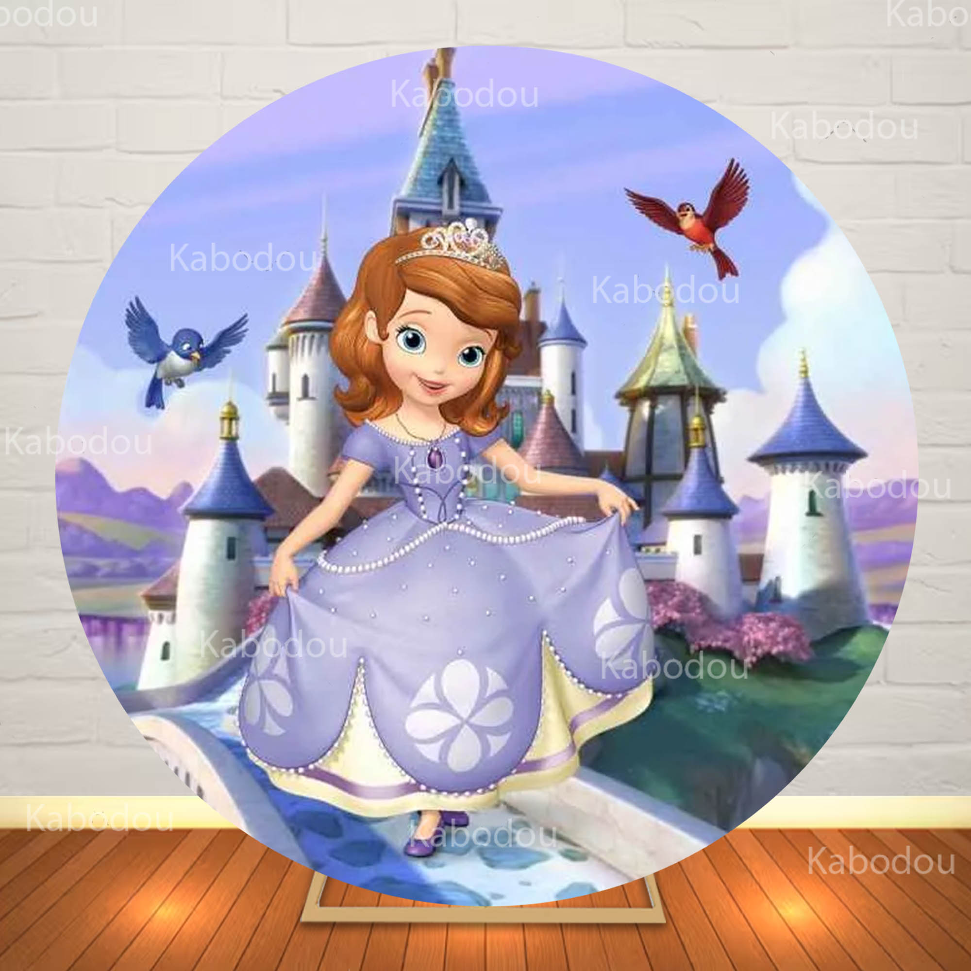 Sofia the First Round Backdrop - огляд і ціна Photography Aesthetic