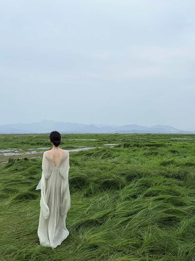 New Chinese Style Loose Long D - огляд і ціна Photography Zen