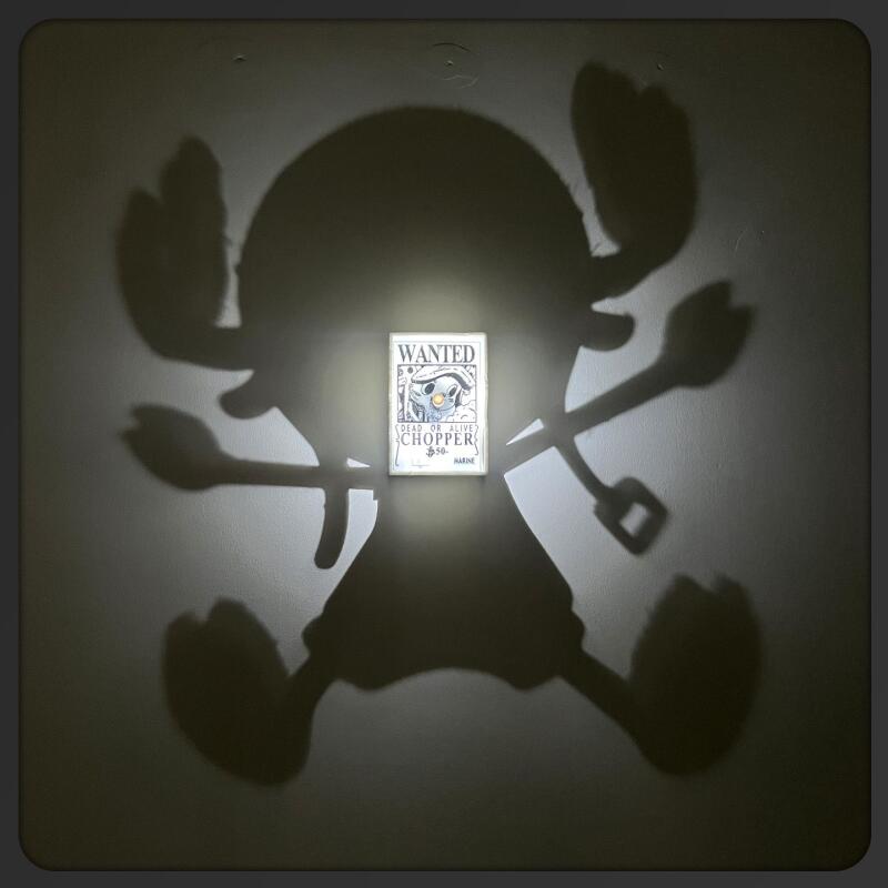 Cartoon Toy One Piece Light Sh - огляд і ціна Photography Darkroom